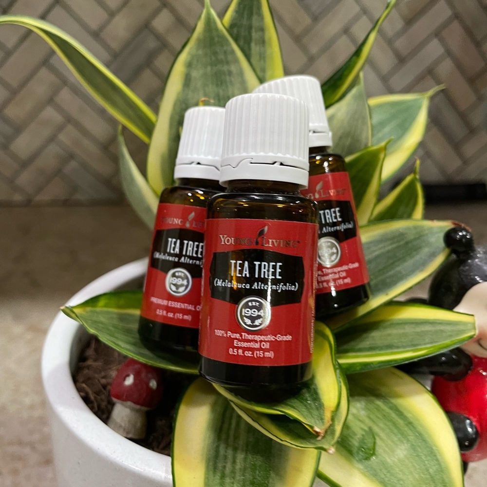 Young Living Tea Tree Essential Oil Trio